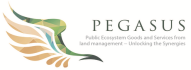 logo pegasus